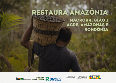 Webinário esclarece dúvidas sobre o Edital 2 do Restaura Amazônia