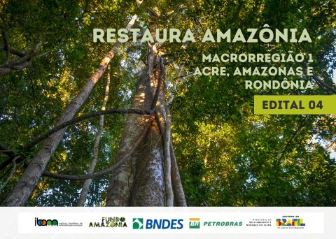 IBAM promove Webinário sobre o Edital 04/2025 da Iniciativa Restaura Amazônia