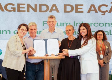 Divulgados os resultados das entidades executoras de projetos de restauração em assentamentos rurais – Edital 02/25 – Restaura Amazônia